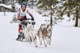 Kandersteg 2014 WM