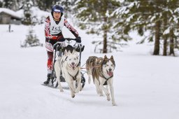 Kandersteg 2014 WM