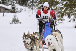Kandersteg 2014 WM