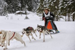 Kandersteg 2014 WM