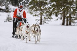 Kandersteg 2014 WM