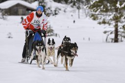 Kandersteg 2014 WM