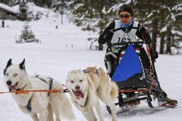 Kandersteg 2014 WM