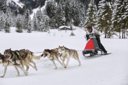 Kandersteg 2014 WM