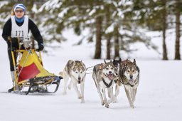Kandersteg 2014 WM