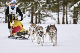Kandersteg 2014 WM