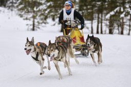 Kandersteg 2014 WM