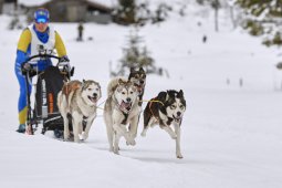 Kandersteg 2014 WM