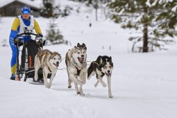 Kandersteg 2014 WM