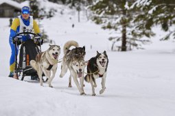 Kandersteg 2014 WM