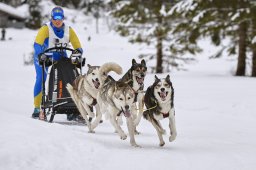 Kandersteg 2014 WM