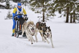 Kandersteg 2014 WM