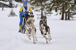 Kandersteg 2014 WM