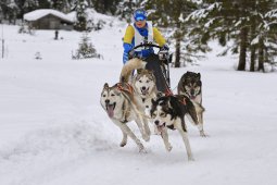 Kandersteg 2014 WM