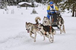 Kandersteg 2014 WM
