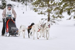 Kandersteg 2014 WM