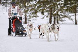 Kandersteg 2014 WM