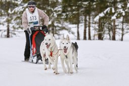 Kandersteg 2014 WM