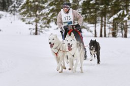 Kandersteg 2014 WM