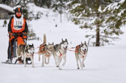 Kandersteg 2014 WM