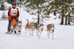 Kandersteg 2014 WM