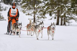 Kandersteg 2014 WM