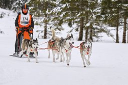 Kandersteg 2014 WM