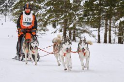 Kandersteg 2014 WM