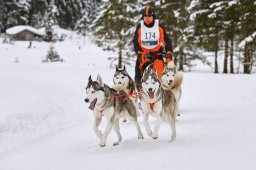 Kandersteg 2014 WM