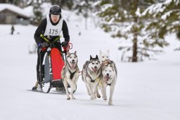Kandersteg 2014 WM