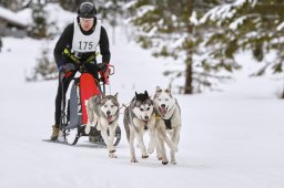 Kandersteg 2014 WM