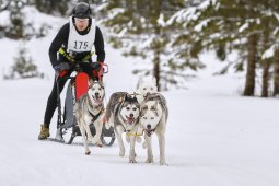 Kandersteg 2014 WM