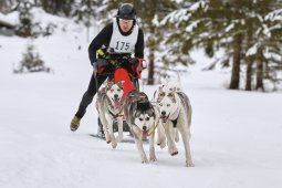 Kandersteg 2014 WM