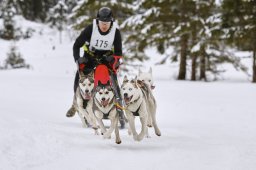 Kandersteg 2014 WM