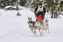 Kandersteg 2014 WM