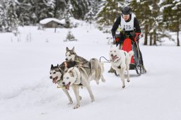 Kandersteg 2014 WM