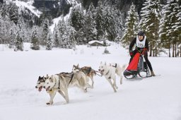 Kandersteg 2014 WM