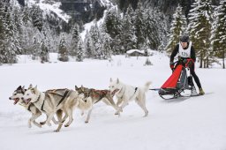 Kandersteg 2014 WM