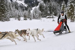 Kandersteg 2014 WM