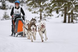 Kandersteg 2014 WM