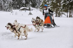Kandersteg 2014 WM