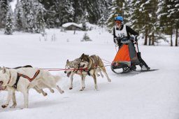 Kandersteg 2014 WM
