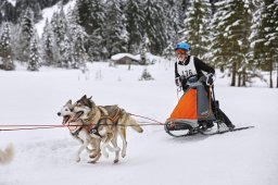 Kandersteg 2014 WM