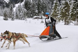 Kandersteg 2014 WM