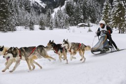 Kandersteg 2014 WM