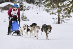 Kandersteg 2014 WM