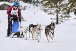 Kandersteg 2014 WM