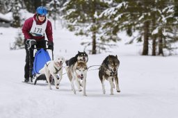 Kandersteg 2014 WM
