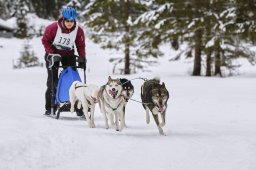 Kandersteg 2014 WM