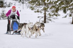 Kandersteg 2014 WM
